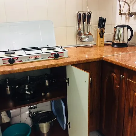 Orlinoe Gnezdo Apartment *